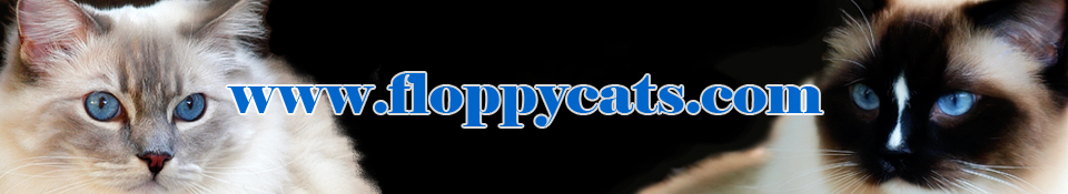 floppy-cats-logo